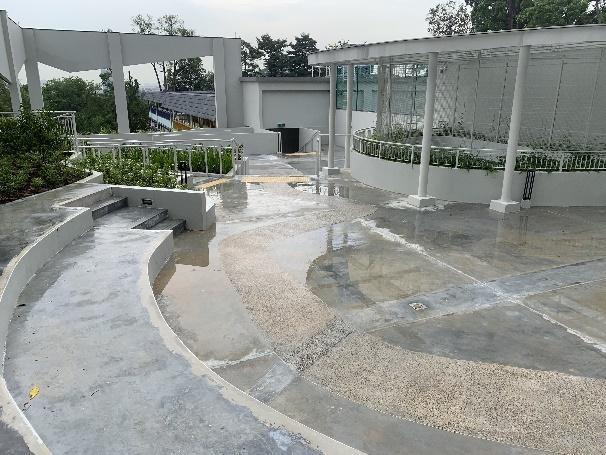 Roof garden