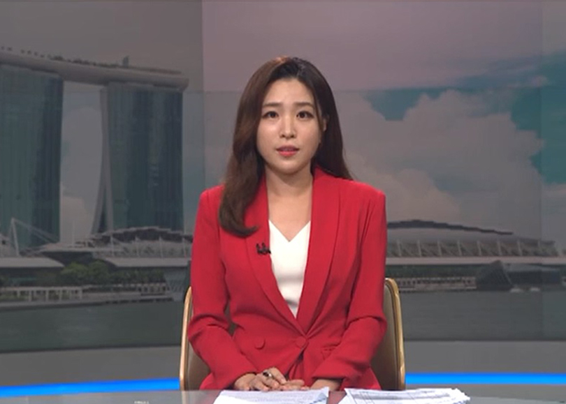 "싱가포르 [세계 속 한국]"